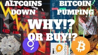 BUYING CRYPTO/WHEN IS THE BEST TIME TO BUY