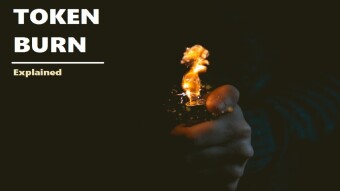 What You Need To Know About Token Burn