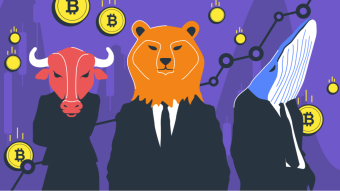 Bulls, Bears, Whales, and Sharks in the Crypto Market