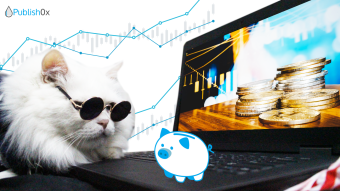 New Payout Schedule + Payout Stats from November 2020