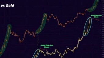 Portfolio Evolution: From High Risk to Smart Yields  🧠💼