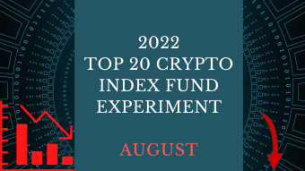 EXPERIMENT - Tracking Top 20 Cryptos Of 2022 - Month EIGHT- DOWN 67%