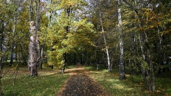 Friday was very rainy - My Actifit Report Card: October 24, 2025