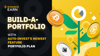 Binance Auto-Invest Portfolio Plan - Explained