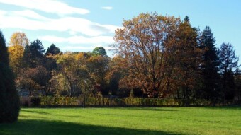 The beginning of the day was terrible, sleepy, cold, rainy, but the afternoon was beautiful and optimistic - My Actifit Report Card: October 25 2023