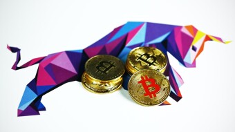 Beyond Bitcoin: 9 Crypto Categories For New Investors