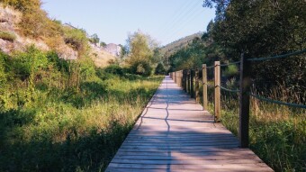 Trip to Portugal - Couce #1