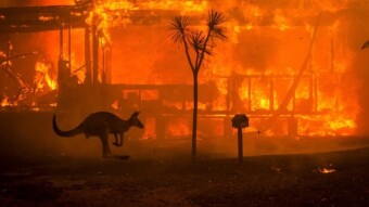 Australia is Burning..