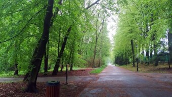 It smelled like winter, but it was April after all.