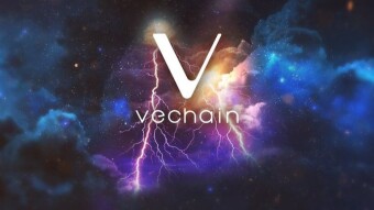 what is vechain