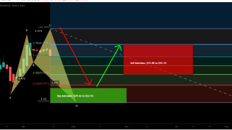 Polkadot (DOT) forming bullish Shark for upto 73.5% move