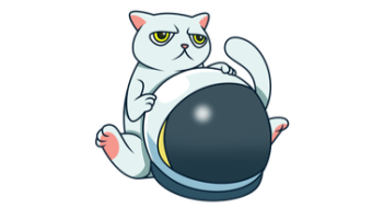 Crypto cats and NFT social causes