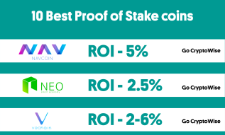 10 of the Best Proof of Stake Coins 2019 Infographic