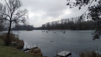 Saturday with a blast of winter - My Actifit Report Card: February 14, 2026