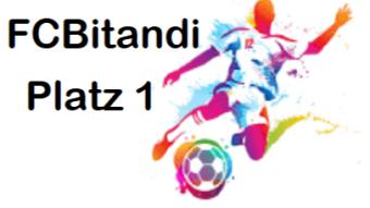 @rabona on Hive Blockchain - Platz 1 , Saison 29 , 2. Liga -/-/- place 1 , season 29 , leaque 2 -- (DEU-ENG)