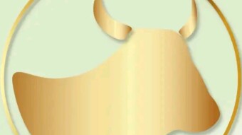 Strange Coins, Bright Future? COW From Korea