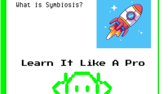Explained Like A Child, Learn Like A Pro: Learn About Symbiosis Finance.