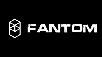 A Quick Overview of Fantom Project