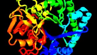 (IJCH) Protein Folding for Dummies (or Understanding How Protein Mechanics can improve the Lives of every Human Being on Earth!)