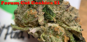 Forum Cut Cookies S1 (True GSC)