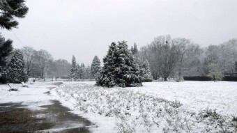 Wednesday and the return of mild winter - My Actifit Report Card: November 26, 2025