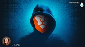 The "Bravest" Browser landed on the Dark Web, but why?🌐