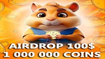Hamster Kombat Airdrop Farming
