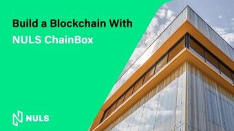 Build a Customized blockchain NULS ChainBox