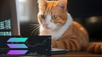 Is Ethereum's Reign Truly Threatened? A Brief Analysis of Solana