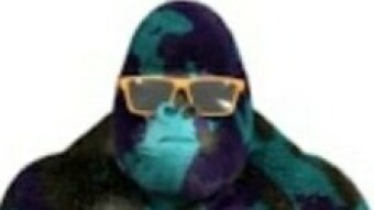 Gorilla Mansion- hold the mansion, take the prizes!