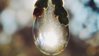 I love the moment when the sun comes out after the rain. Macro photography.
