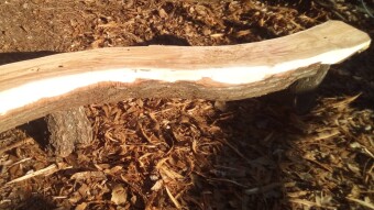Apocalyptic Homesteading (Day 108)