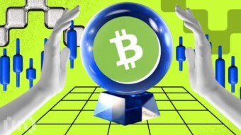 Who owns the more Bitcoin Cash?