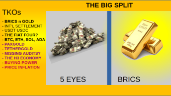 THE BIG SPLIT :  FIAT POWERED US STABLE COINS OR GOLD BACKED MONEY? A SILVER MOMENT