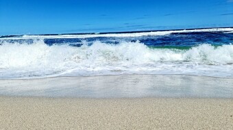 Rolling with the waves... and the punches!