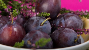 Plum liqueur/Nalewka śliwkowa