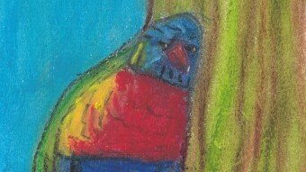Angry Parrot
