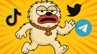 Sea Otter Themed DALPY Coin Set to Launch on Solana Amid Meme Market Resurgence