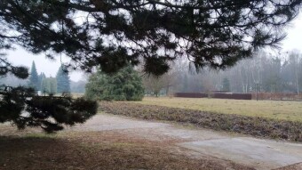 It smelled in winter and even snow - My Actifit Report Card: March 1 2025