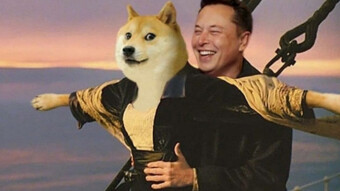 CRYPTO NEWS | What Happen To... Dogecoin? | Bitcoin is the bad guy right now!