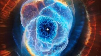 Her paintings are just space! Artist Catherine machin paints paintings that glow in the dark
