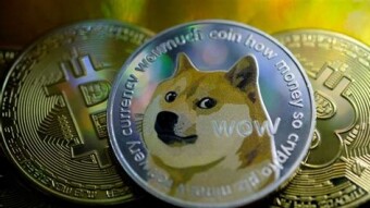 One DOGE to Rule them all