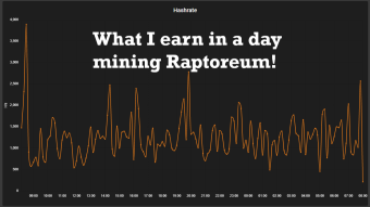 What I earn in a day mining Raptoreum!!! 🐱‍🐉🍖🥩