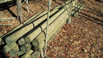 Apocalyptic Homesteading (Day 14)