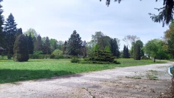 A warm and spring-like Monday - My Actifit Report Card: May 4, 2026