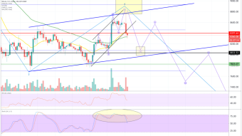 Bitcoin (BTC) analysis - do the bears push the price to $8,000?