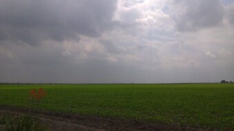 Beautiful landscape