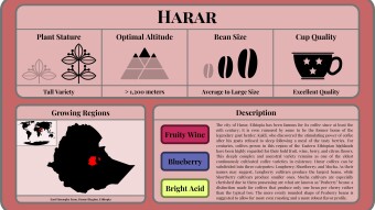 Conscious Caffeine #11 - Harar