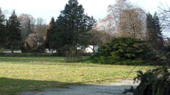 Preparations for the first onslaught of spring this winter - My Actifit Report Card: December 28 2022