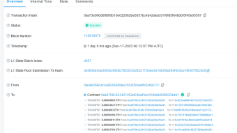 Some Binance account holders found that Publish0X ETH payment on 17 December was not immediately credited